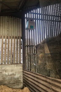 Box in barn