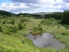 BBC report shows that trees aren’t the only answer for moorland carbon capture