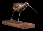 Boost your wildlife art collection and support vital conservation research