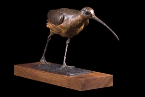 Curlew in bronze by David Cemmick