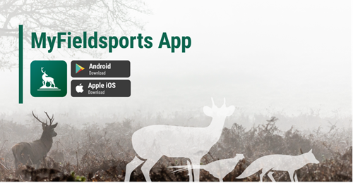 MyFieldsports