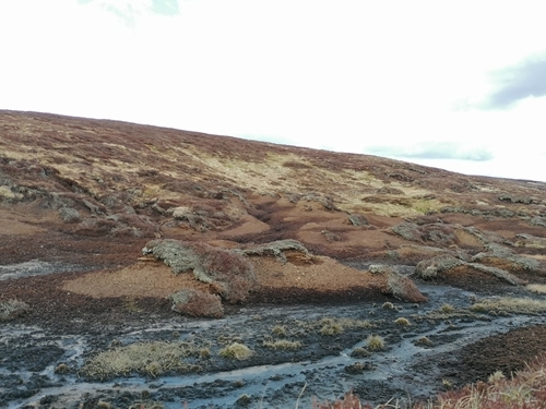 Muirburn 2 Muirburn 2