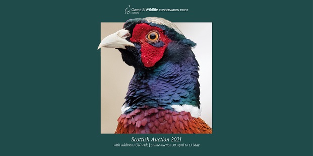 Scottish Auction 2021