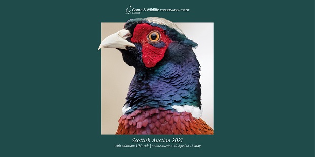 Scottish Auction 2021 Scottish Auction 2021