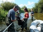 Warmer winters and cooler springs are linked to lower numbers of juvenile salmon, research suggests