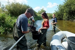 Luke Roberts and Jessica Marsh electrofishing on the River Frome near Wareham