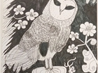 2020 Grampian Schools Art Competition
