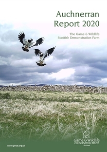 Auchnerran Report 2020