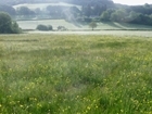 Improving soil health in Wales