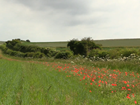 Farmers hold the key to biodiversity gains: Our letter published in The Times