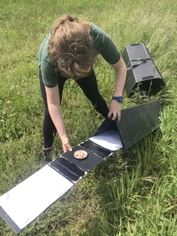 Setting up an ink tracking tunnel