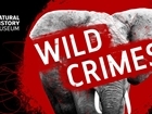 Listen: GWCT appears on Natural History Museum podcast