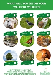 Walk For Wildlife