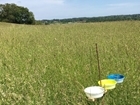 Framework Fieldwork Update