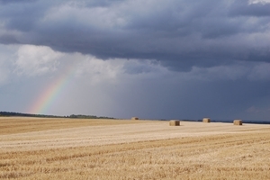 Harvest field and rainbow (Credit: Peter Thompson)
