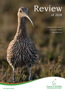 2020
