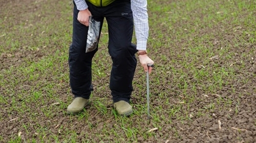 Soil Soil