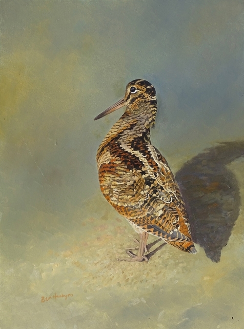 Woodcock By Ben Hoskyns Woodcock By Ben Hoskyns