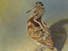 Find beautiful new wildlife art in time for Christmas, and support the GWCT’s vital research