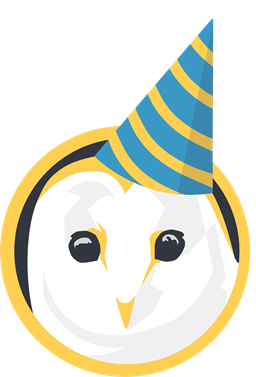 Party Hat OBI