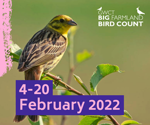 GWCT Big Farmland Bird Count