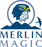 Merlin Magic