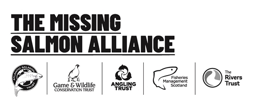 Missing Salmon Alliance