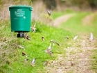 We can't let the rise in wheat prices impact our farmland birds: Our letter in The Shooting Times