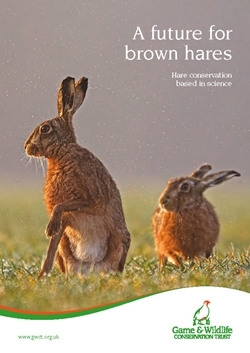 A Future For Brown Hares