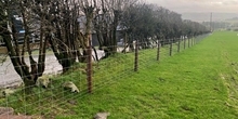 Bro Cors Caron Sustainable Management Scheme