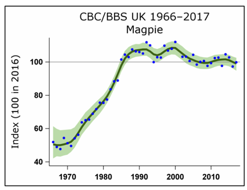 Wales Magpie 12