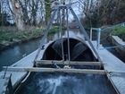 Smolt Trapping Underway on River Frome