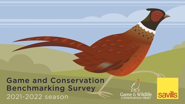 Game and Conservation Benchmarking Survey 2022