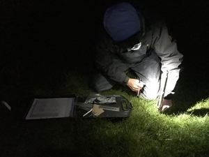 Penetrometer reading