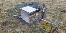 Best practice predation relief