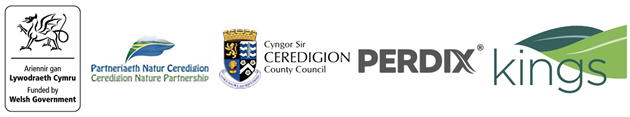 Ceredigion supporters Ceredigion supporters