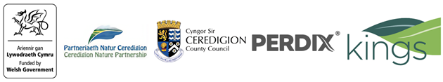 Ceredigion supporters