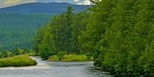 Appendix 2: Clean and plentiful water
