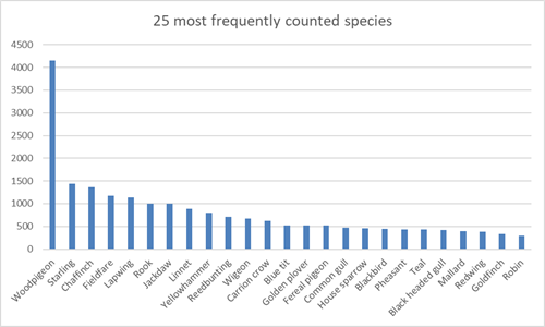Wales Bfbc Graph 2 Wales Bfbc Graph 2
