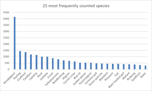 Wales Bfbc Graph 2