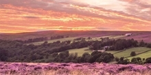 Sustaining Ecosystems: English Grouse Moors