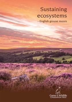 Sustaining Ecosystems: English Grouse Moors