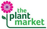 The Plant Market