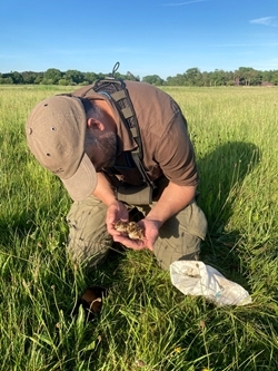 Rupert Brewer with brood of redshank chicks