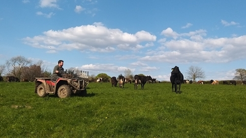 Gwyn Evans , Dyffryn Arth Farm