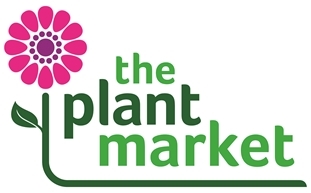 The Plant Market CMYK Logo