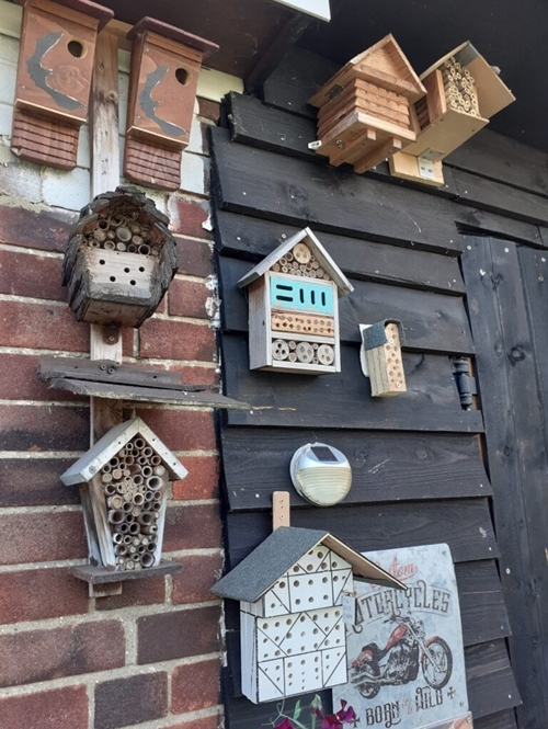 Solitary -bee -homes -28-jun -2022-1-768x 1024