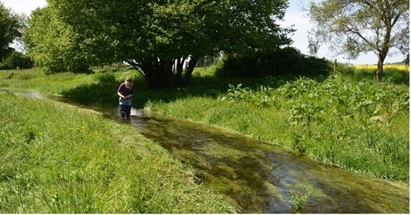 The Environmental Farmers Group aims to restore ecosystem services such as provision of clean water © Jess Brooks