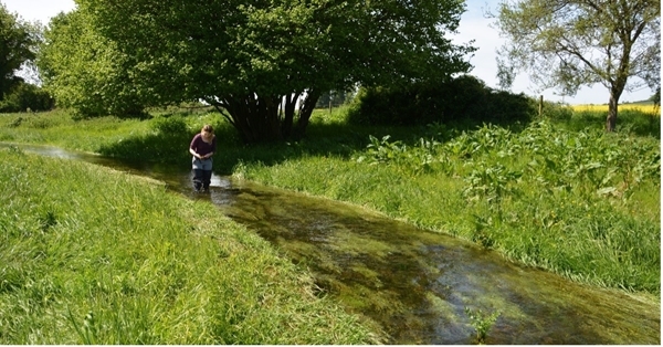 The Environmental Farmers Group aims to restore ecosystem services such as provision of clean water © Jess Brooks The Environmental Farmers Group aims to restore ecosystem services such as provision of clean water © Jess Brooks