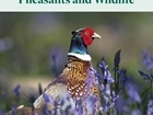The Green Guide returns – gamekeepers’ “go-to” guide reimagined for the 21st century woodland manager